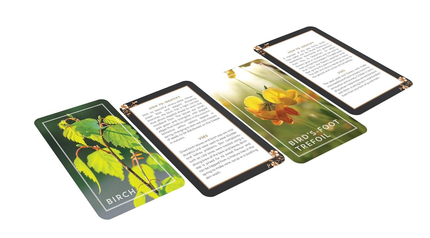 The Hedgerow Apothecary Forager's Card Deck : 52 Beautiful Identification Cards and Booklet to Help You Find and Gather Wild Plants by Christine Iverson