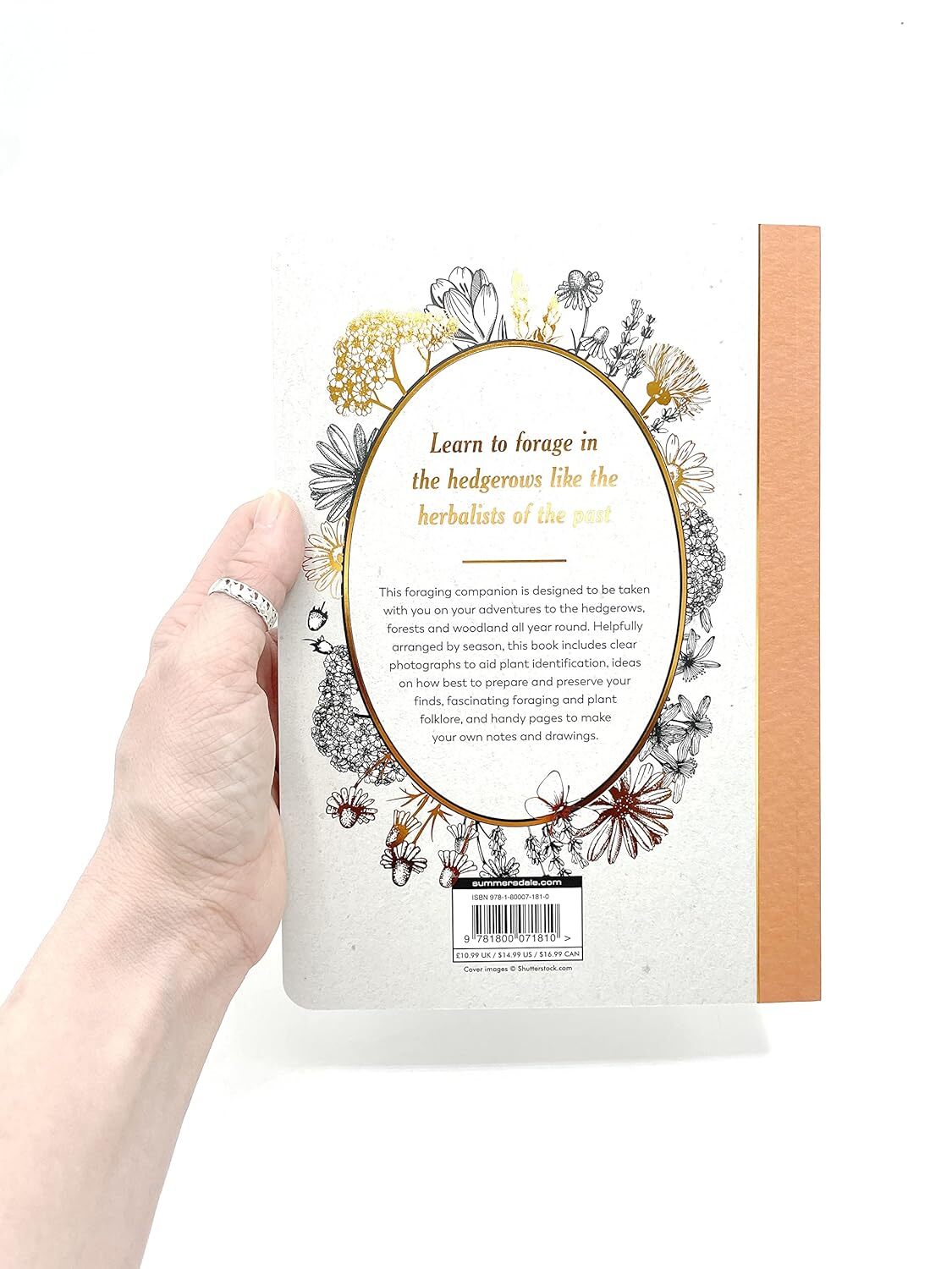 The Hedgerow Apothecary Forager's Handbook : A Seasonal Companion to Finding and Gathering Wild Plants by Christine Iverson