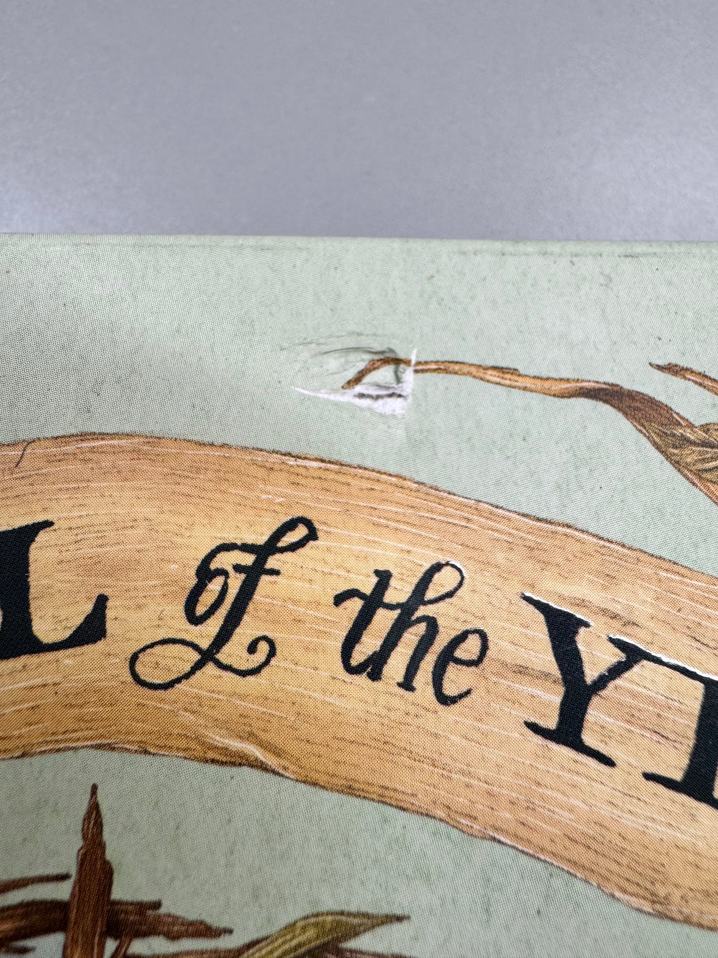 The Wheel of the Year : An Illustrated Guide to Nature's Rhythms by Fiona Cook (DAMAGED Copy)