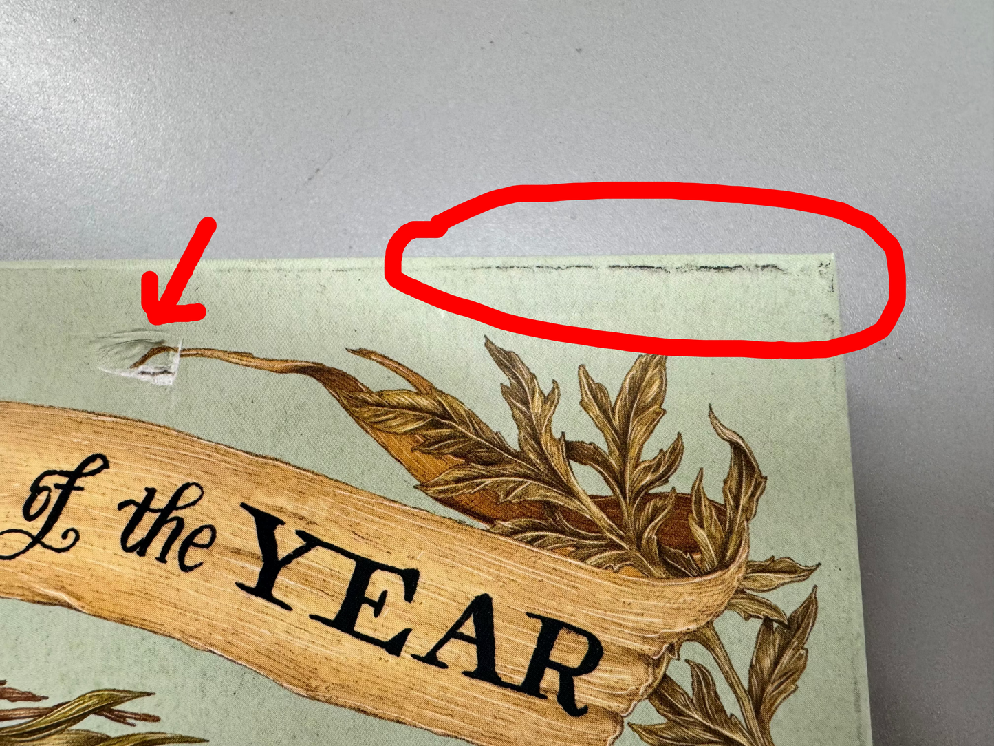 The Wheel of the Year : An Illustrated Guide to Nature's Rhythms by Fiona Cook (DAMAGED Copy)