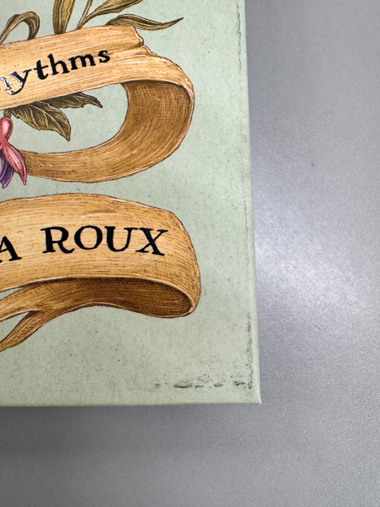 The Wheel of the Year : An Illustrated Guide to Nature's Rhythms by Fiona Cook (DAMAGED Copy)