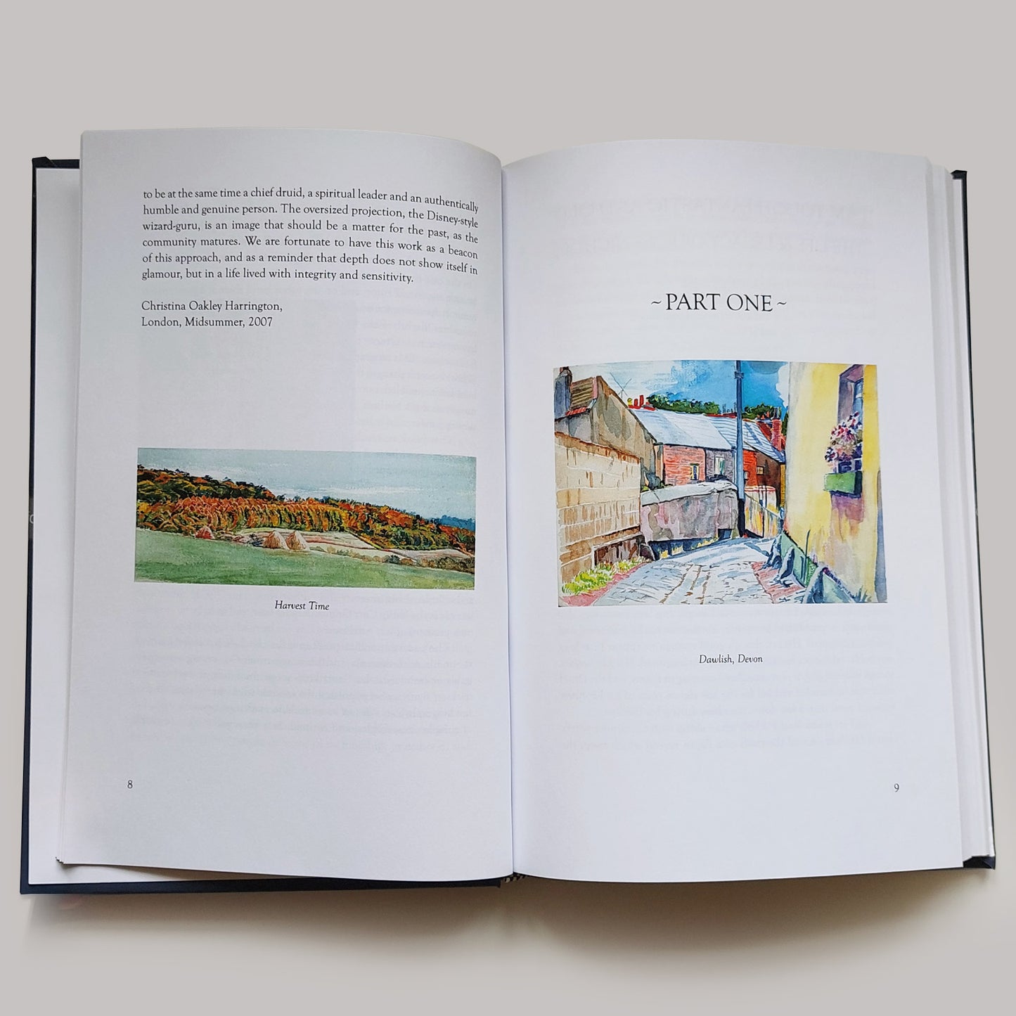 Journeys of the Soul - The Life & Legacy of a Druid Chief by Philip Carr-Gomm