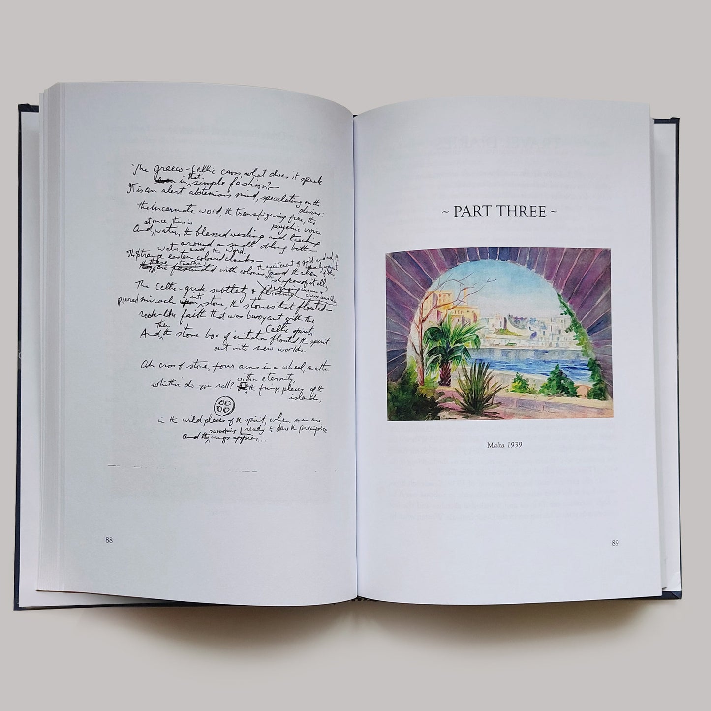 Journeys of the Soul - The Life & Legacy of a Druid Chief by Philip Carr-Gomm