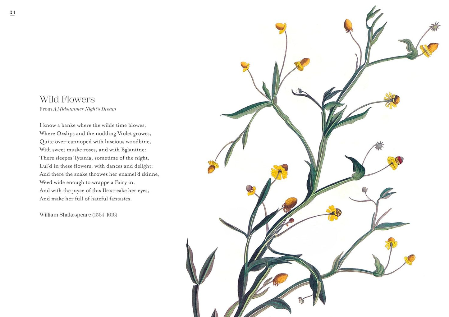 The Poetry of Flowers by Samuel Carr