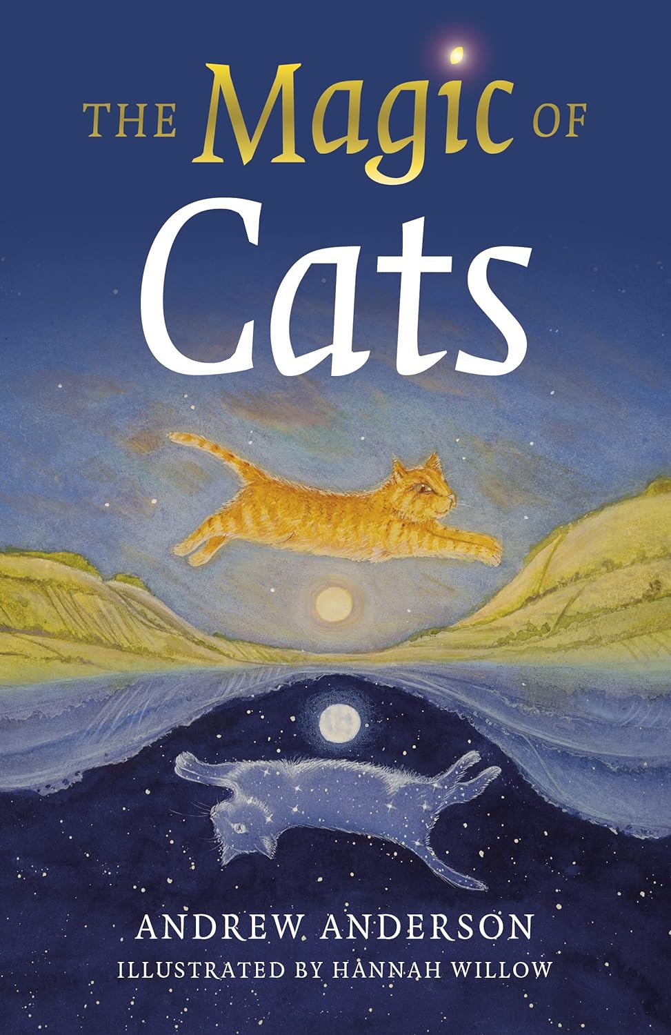 The Magic of Cats by Andrew Anderson