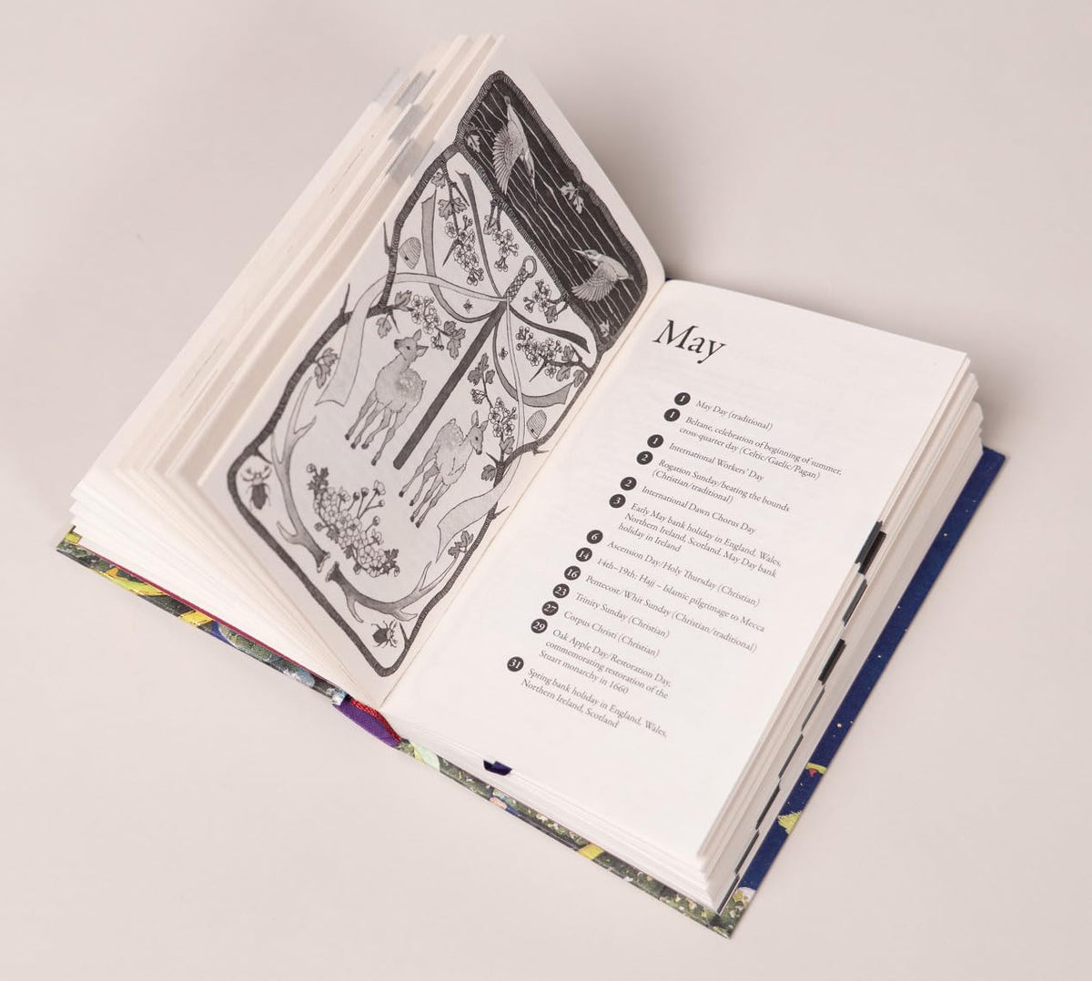 The Almanac: A Seasonal Guide to 2027 by Lia Leendertz