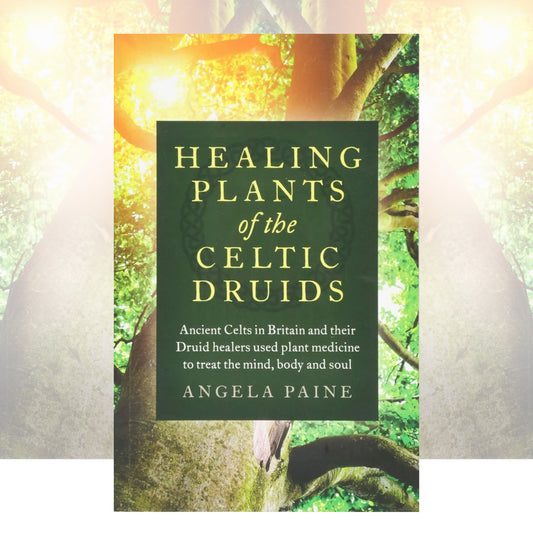 Healing Plants of the Celtic Druids: Ancient Celts in Britain and their Druid healers used plant medicine to treat the mind, body and soul by Angela Paine