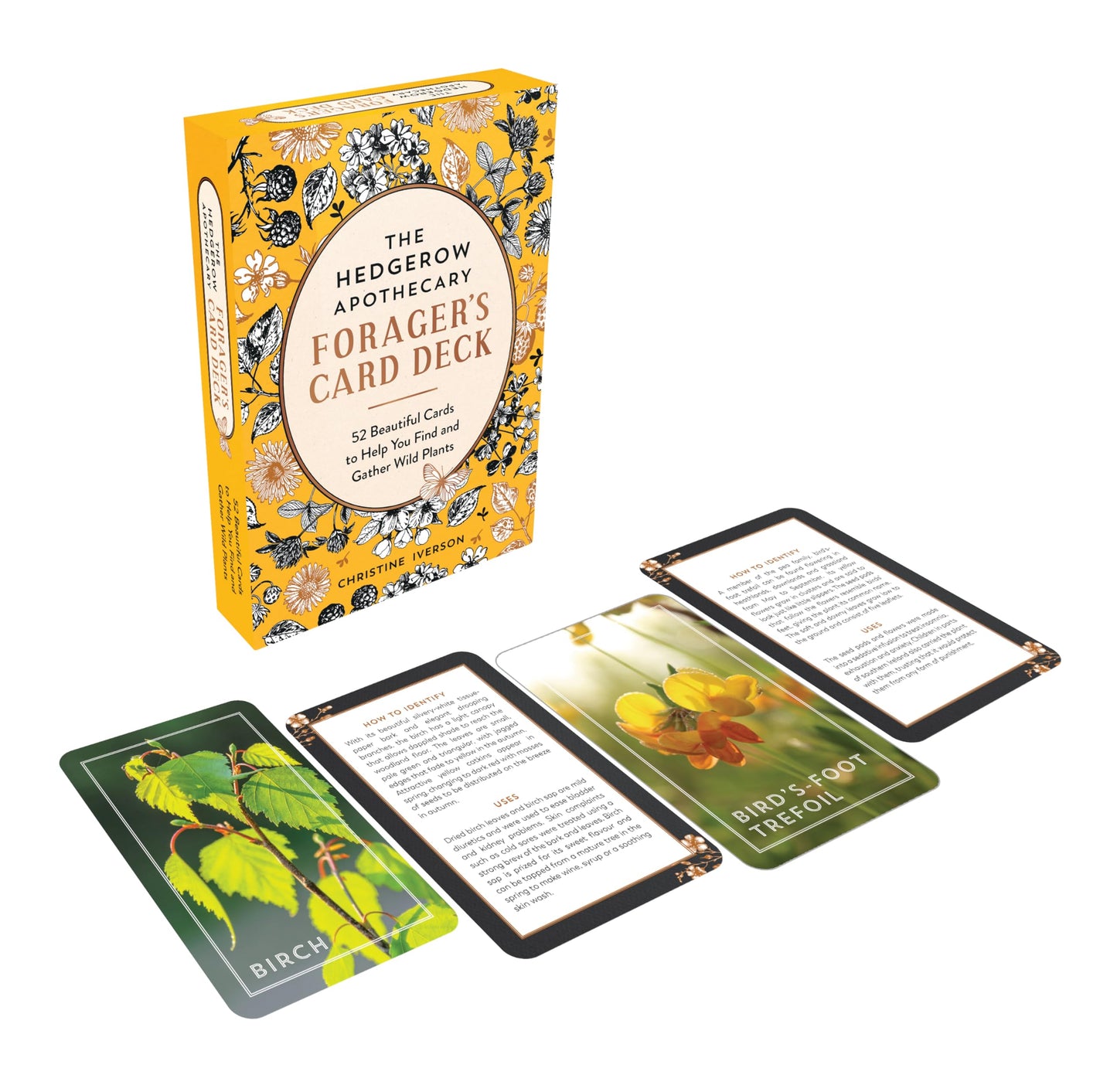 The Hedgerow Apothecary Forager's Card Deck : 52 Beautiful Identification Cards and Booklet to Help You Find and Gather Wild Plants by Christine Iverson