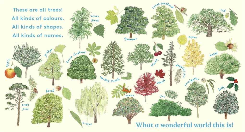 LOOK! A Tree by Anya Serota
