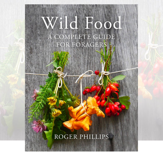 Wild Food : A Complete Guide for Foragers by Roger Phillips