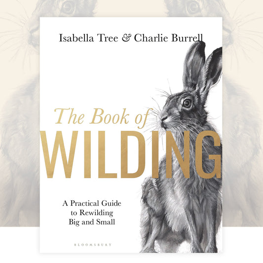 The Book of Wilding : A Practical Guide to Rewilding, Big and Small by Isabella Tree