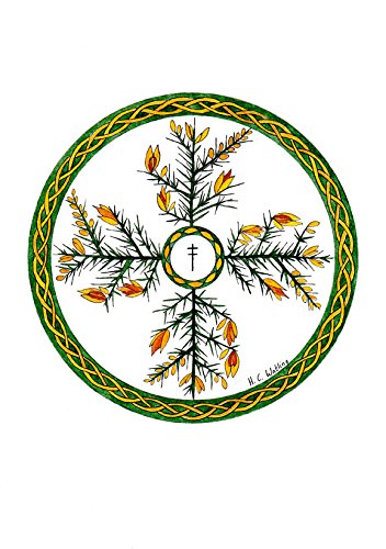 Wood Wisdom - Cards for Meditation and Guidance - H. Catherine Watling
