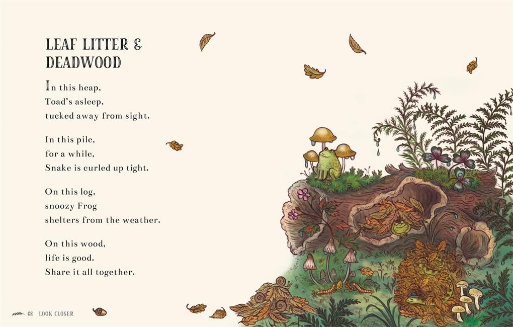Wisdom of the Woods: 40 Poems to Treasure by Rachel Piercey