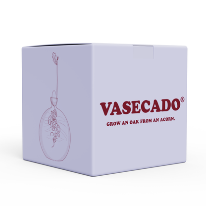 Vasecado® Hand-Blown Glass Vase for Acorns