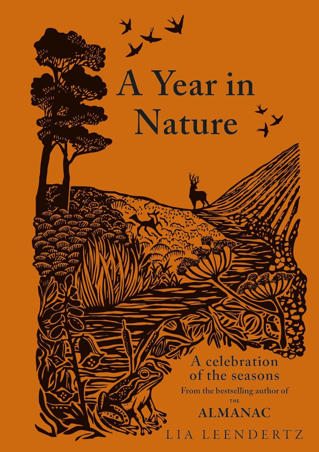 A Year in Nature: A Celebration of the Seasons by Lia Leendertz