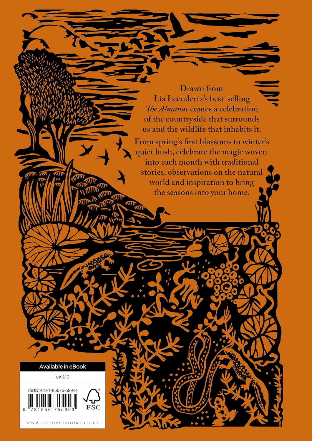 A Year in Nature: A Celebration of the Seasons by Lia Leendertz