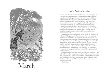 A Year in Nature: A Celebration of the Seasons by Lia Leendertz