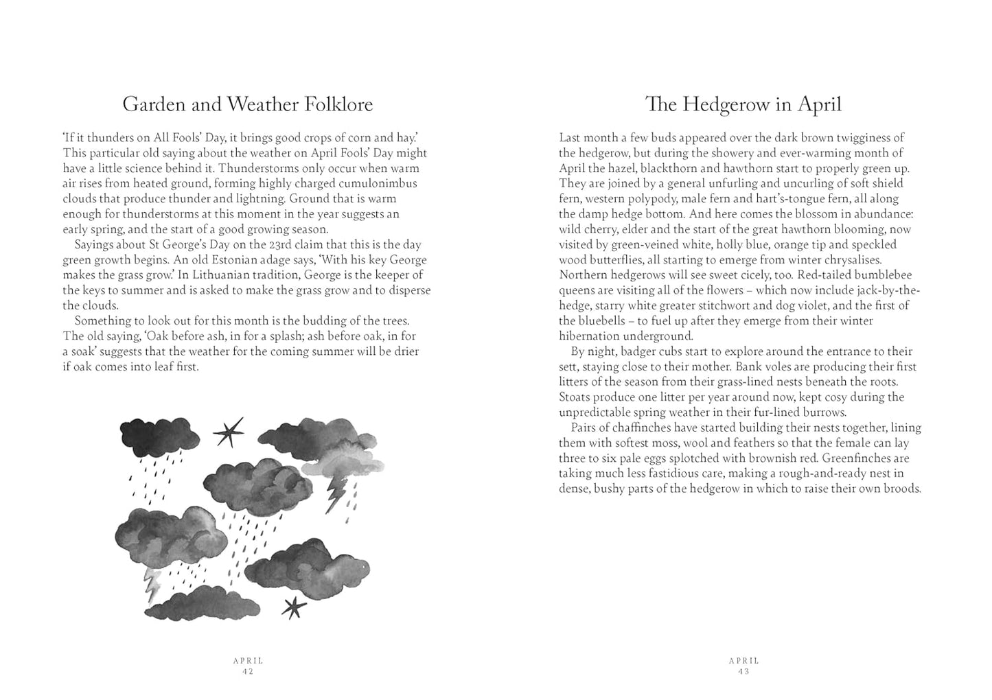 A Year in Nature: A Celebration of the Seasons by Lia Leendertz