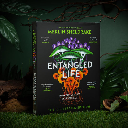 Entangled Life (The Illustrated Edition) by Merlin Sheldrake