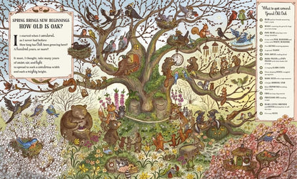 Grand Old Oak and the Birthday Ball: More Than 100 Things to Find by Rachel Piercey
