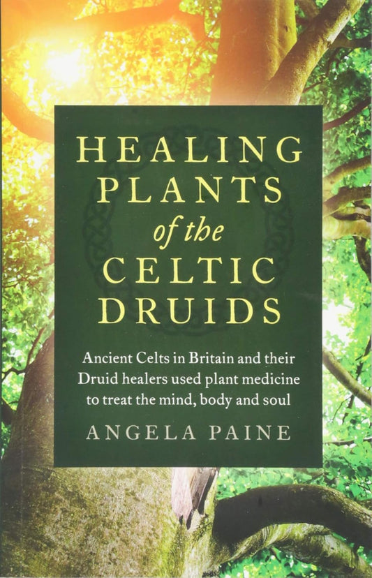 Healing Plants of the Celtic Druids: Ancient Celts in Britain and their Druid healers used plant medicine to treat the mind, body and soul by Angela Paine