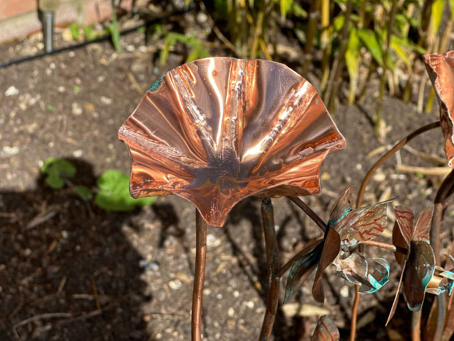 3 x Copper Bee Drinker Bundle