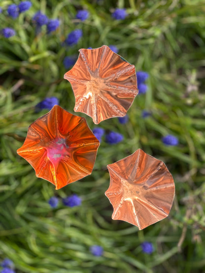 3 x Copper Bee Drinker Bundle