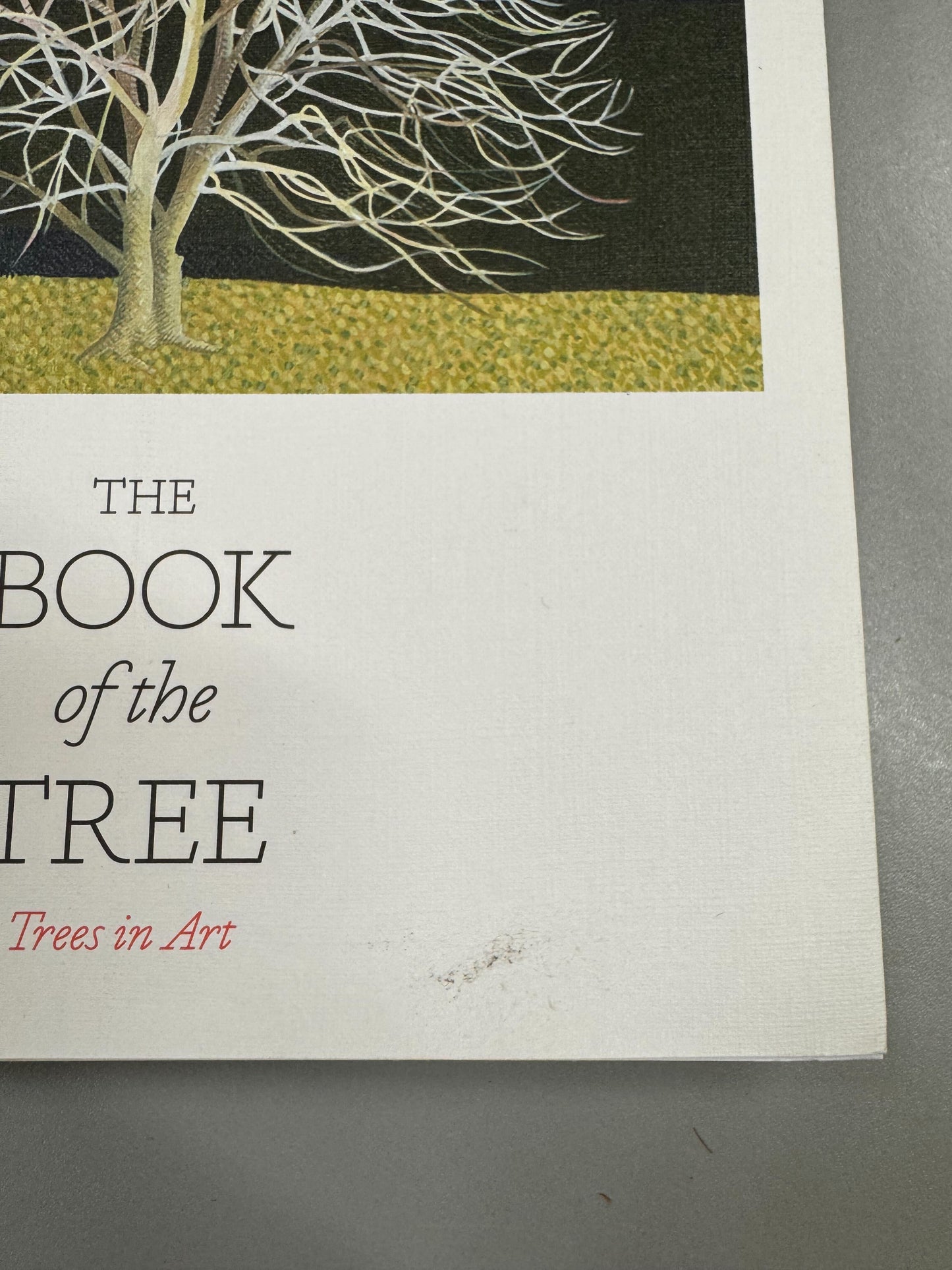 The Book of the Tree : Trees in Art *SALE - slightly damaged**