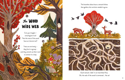 5 Minute Nature Stories: True tales from the woodland by Gabby Dawnay