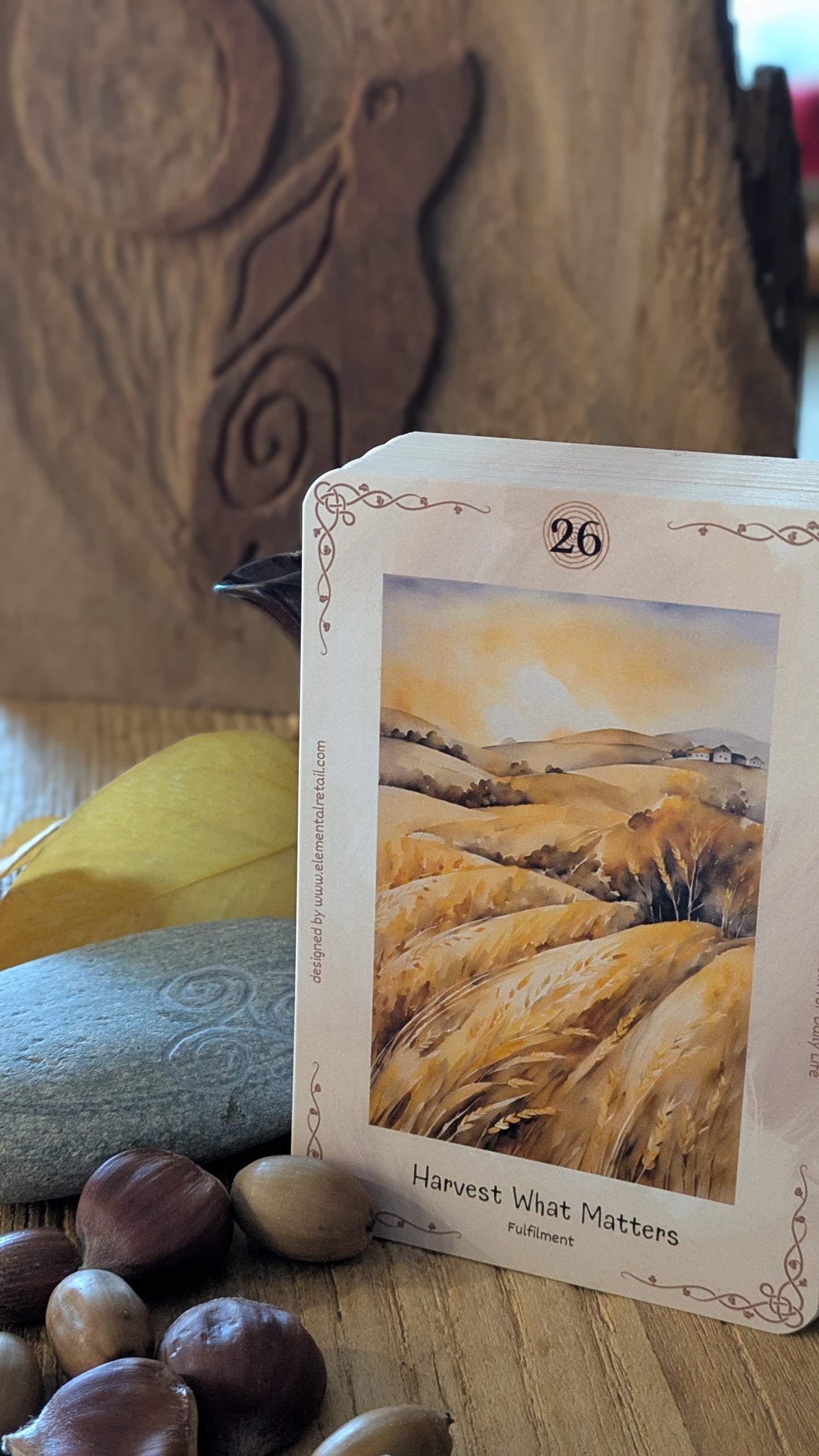 Elemental Journey Oracle by Joanne Hedger