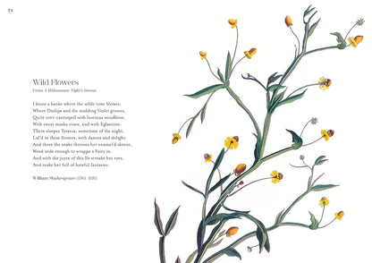 The Poetry of Flowers by Samuel Carr