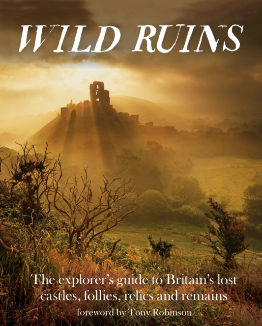 Wild Ruins : The Explorer's Guide to Britain's Lost Castles, Follies, Relics and Remains by Dave Hamilton