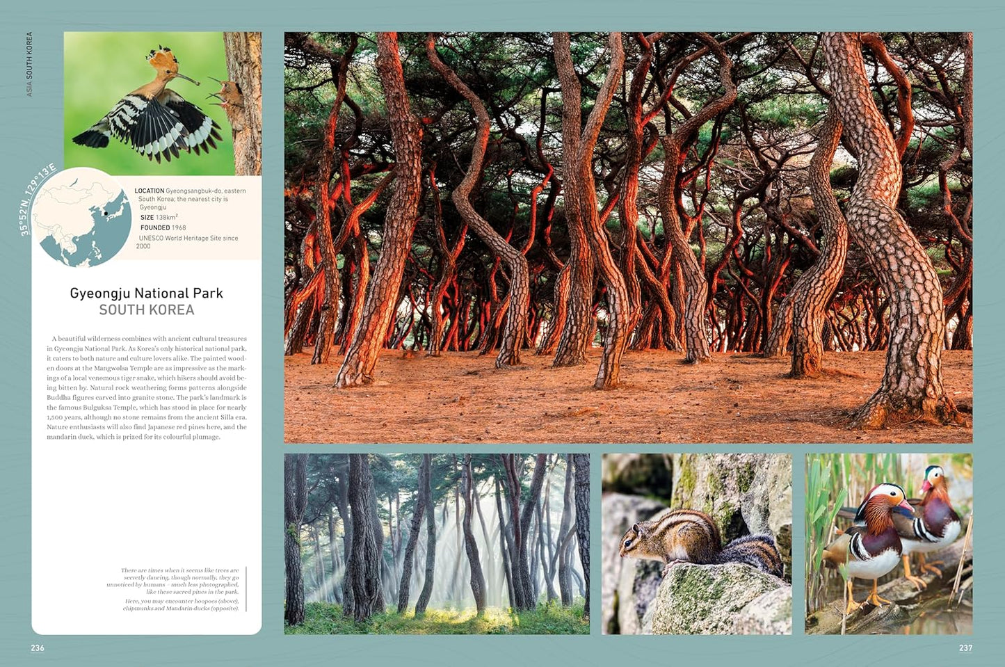 Wild Earth: Discover the World's Wildest Places