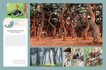 Wild Earth: Discover the World's Wildest Places