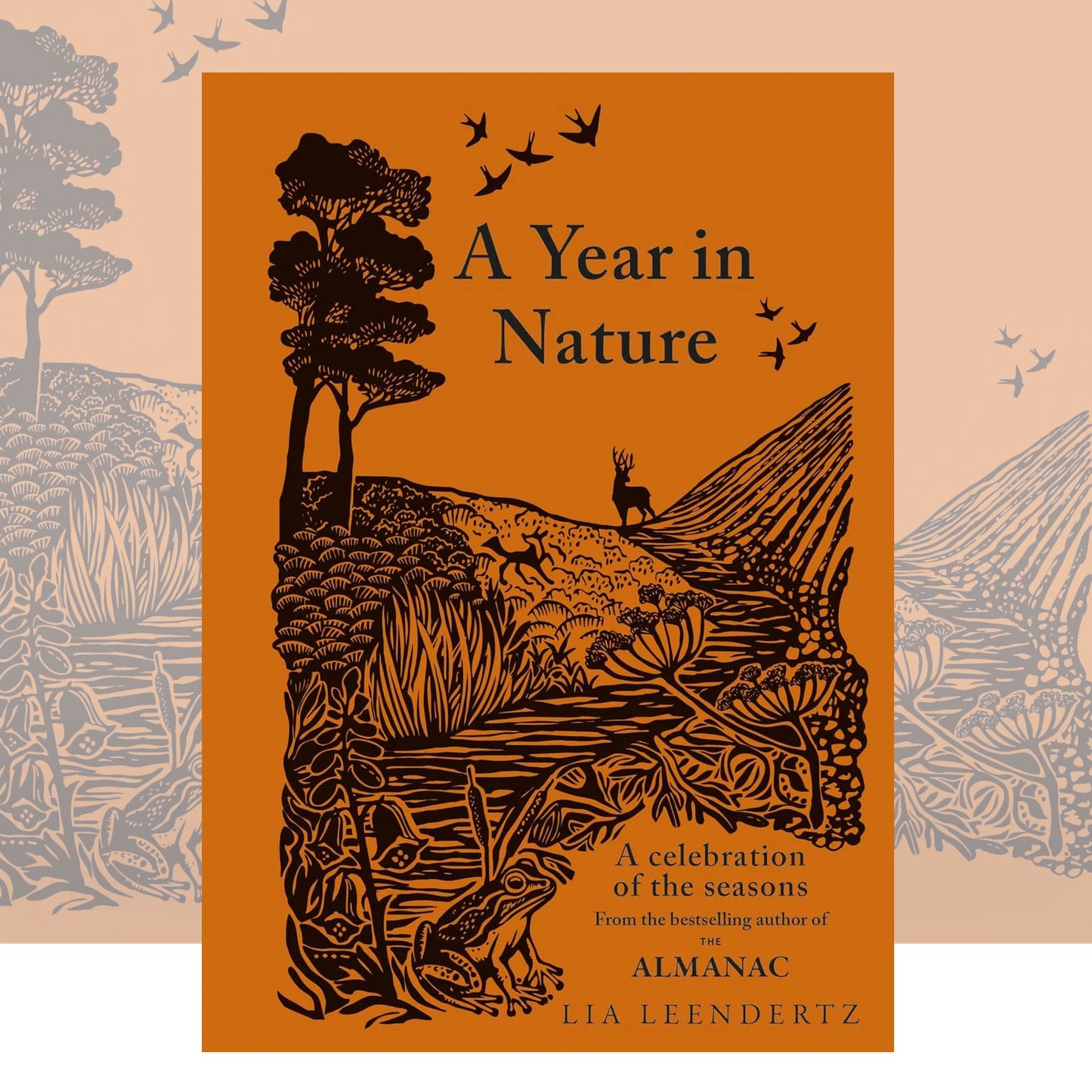 A Year in Nature: A Celebration of the Seasons by Lia Leendertz