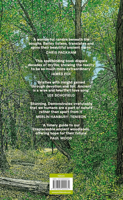 Ancient: Reviving the Woods That Made Britain by Luke Barley