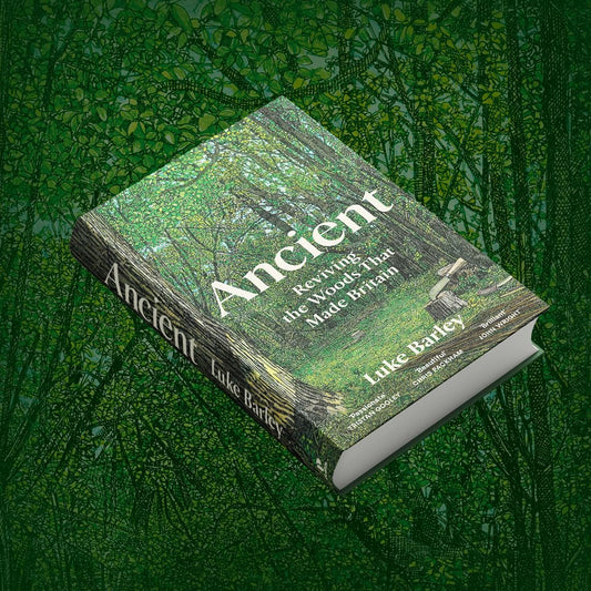 Ancient: Reviving the Woods That Made Britain by Luke Barley