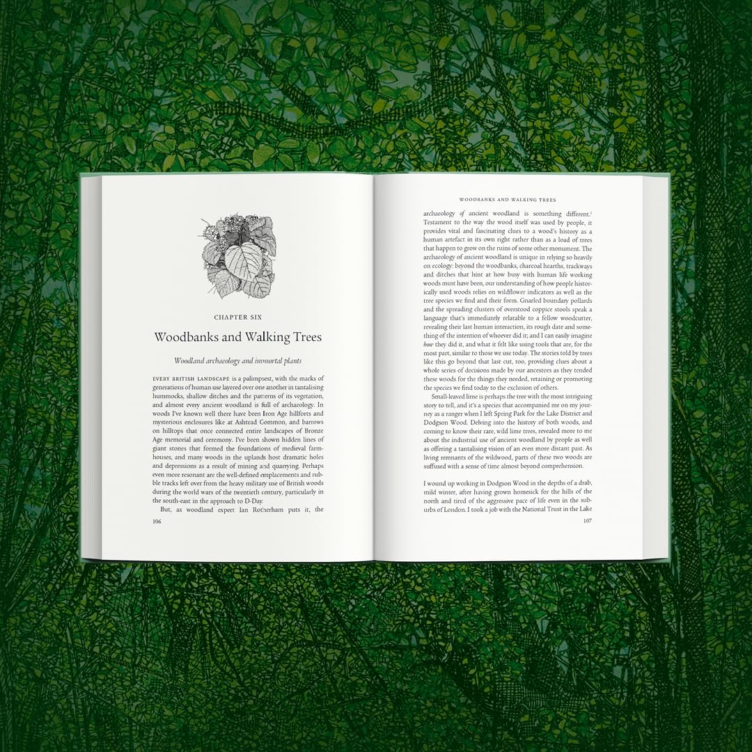 Ancient: Reviving the Woods That Made Britain by Luke Barley