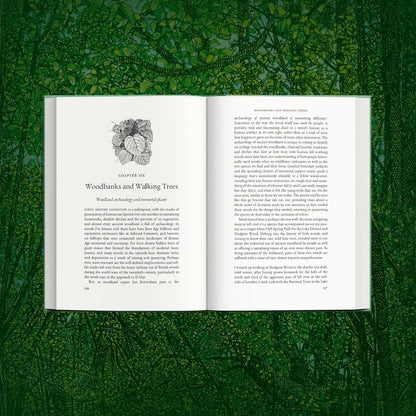 Ancient: Reviving the Woods That Made Britain by Luke Barley