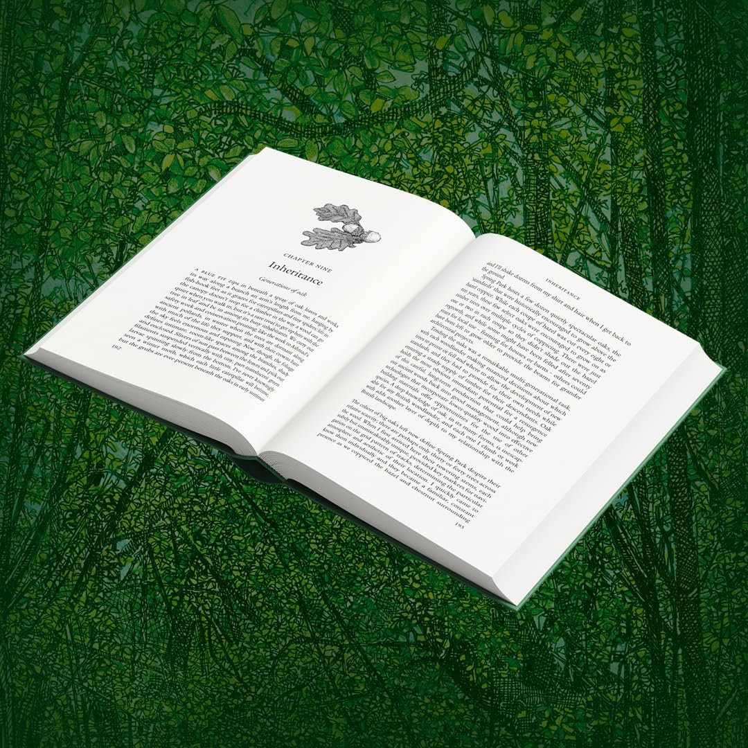 Ancient: Reviving the Woods That Made Britain by Luke Barley