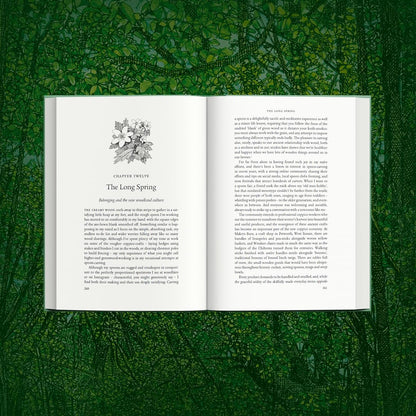 Ancient: Reviving the Woods That Made Britain by Luke Barley