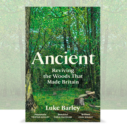 Ancient: Reviving the Woods That Made Britain by Luke Barley