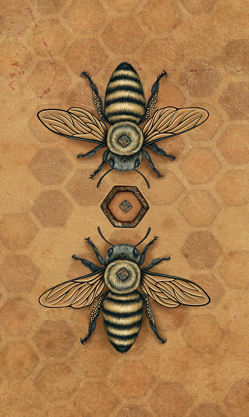 Bee Tarot by Kristoffer Hughes and Nadia Turner