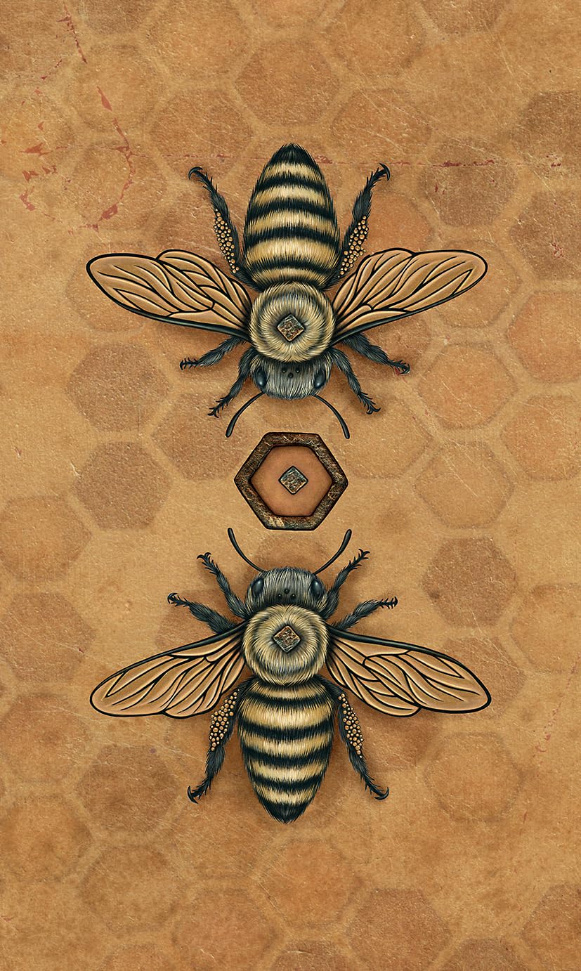Bee Tarot by Kristoffer Hughes & Nadia Turner