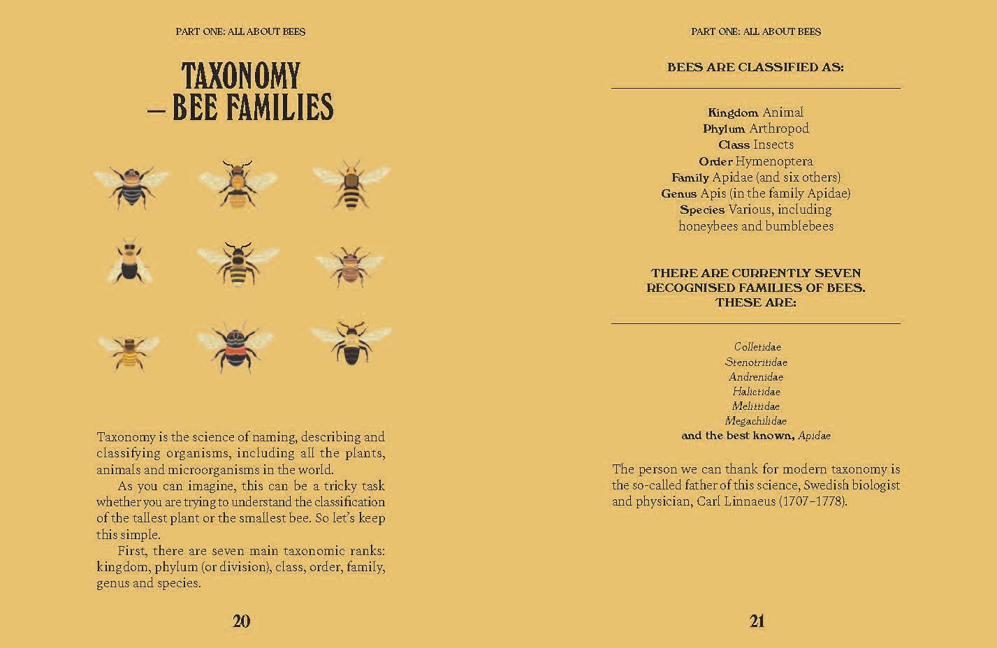 Bees by Susan E. Clark