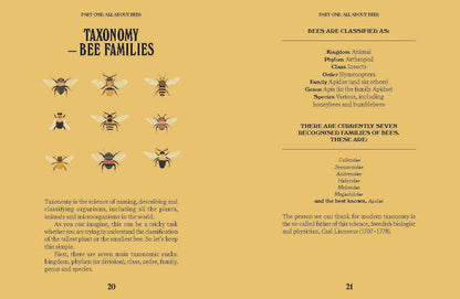 Bees by Susan E. Clark