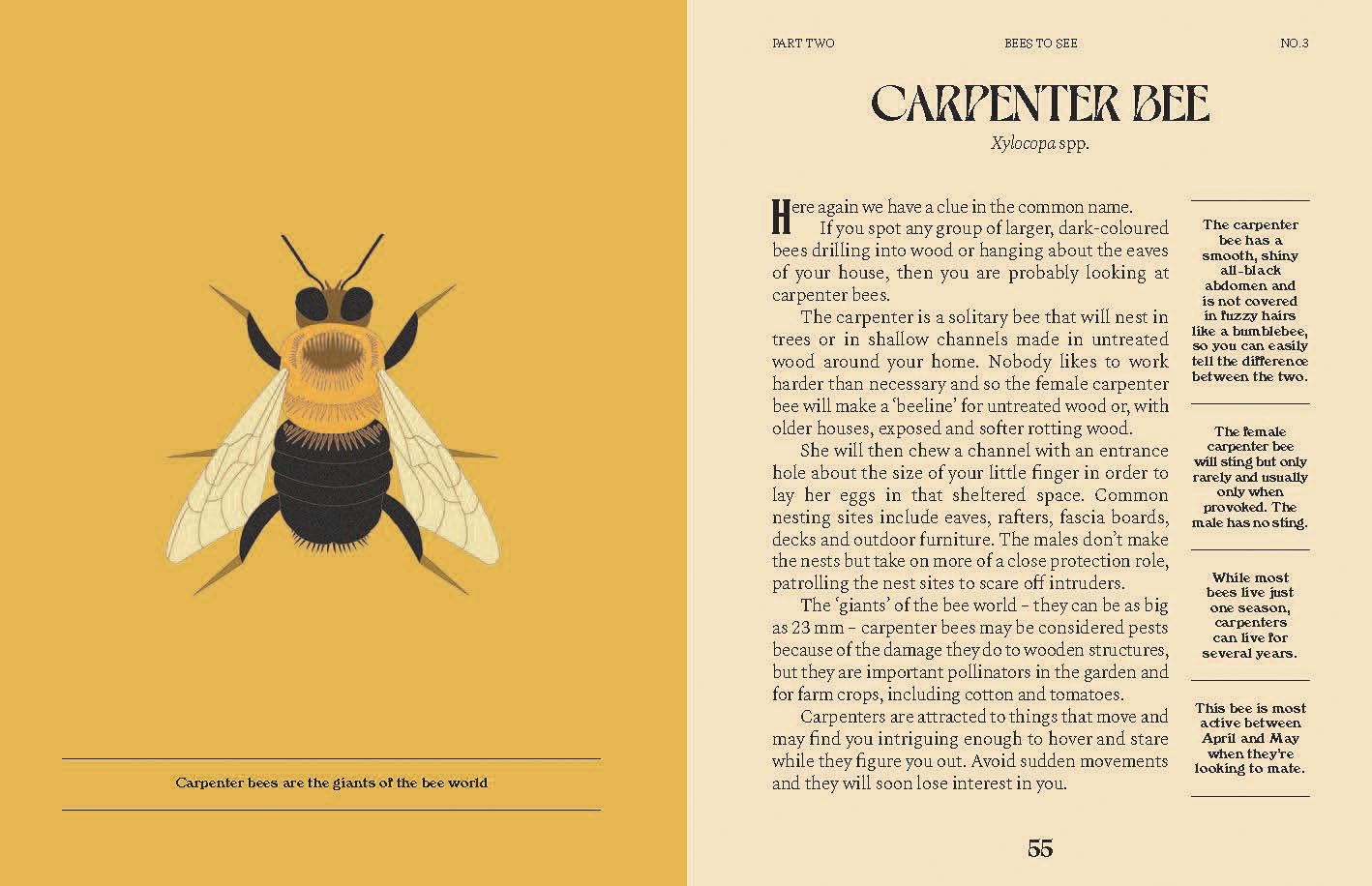 Bees by Susan E. Clark