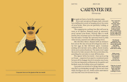 Bees by Susan E. Clark