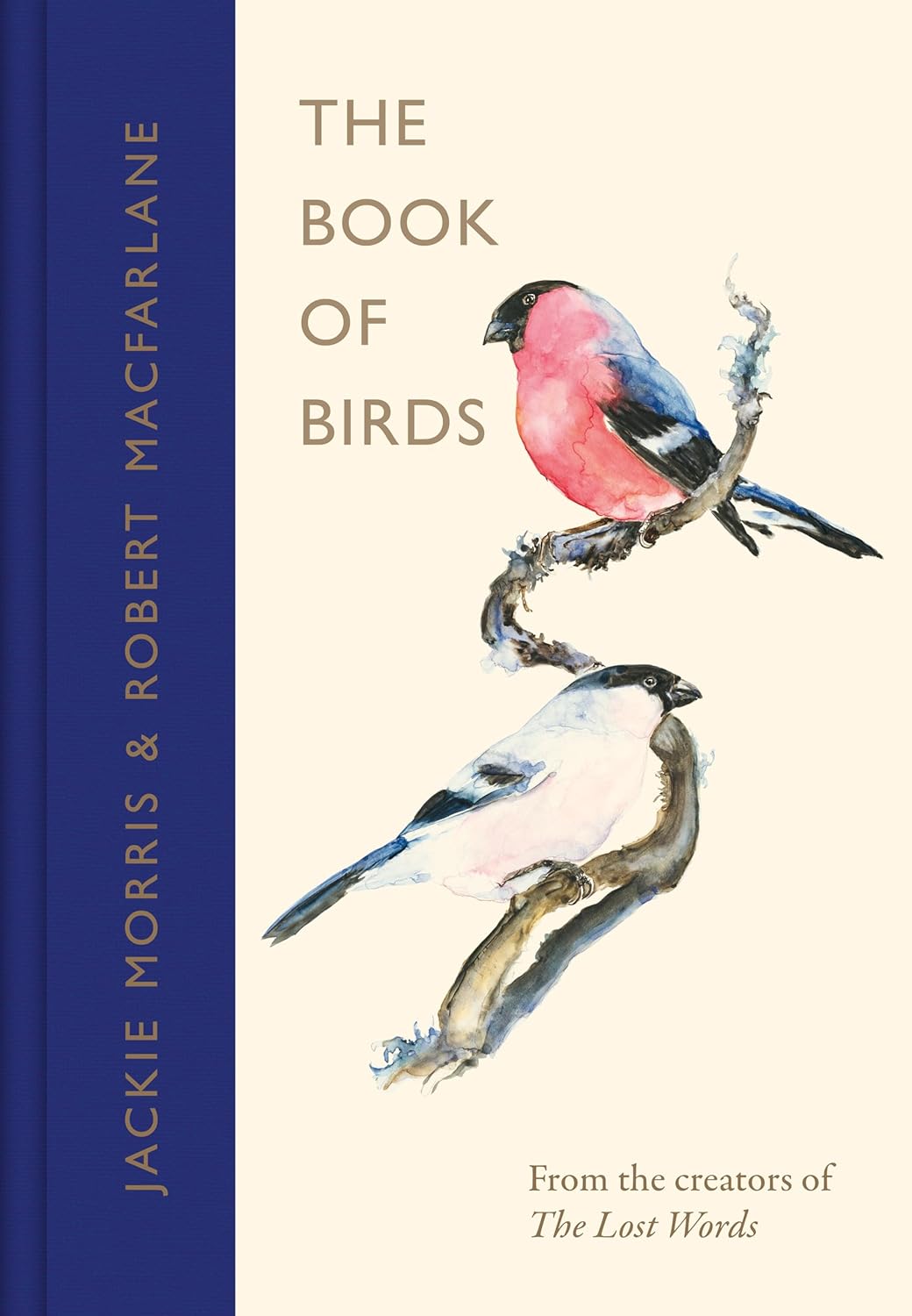 The Book of Birds | Robert Macfarlane & Jackie Morris | OBOD Store
