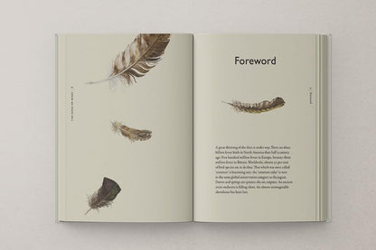 The Book of Birds: A Field Guide to Wonder and Loss by Robert Macfarlane & Jackie Morris